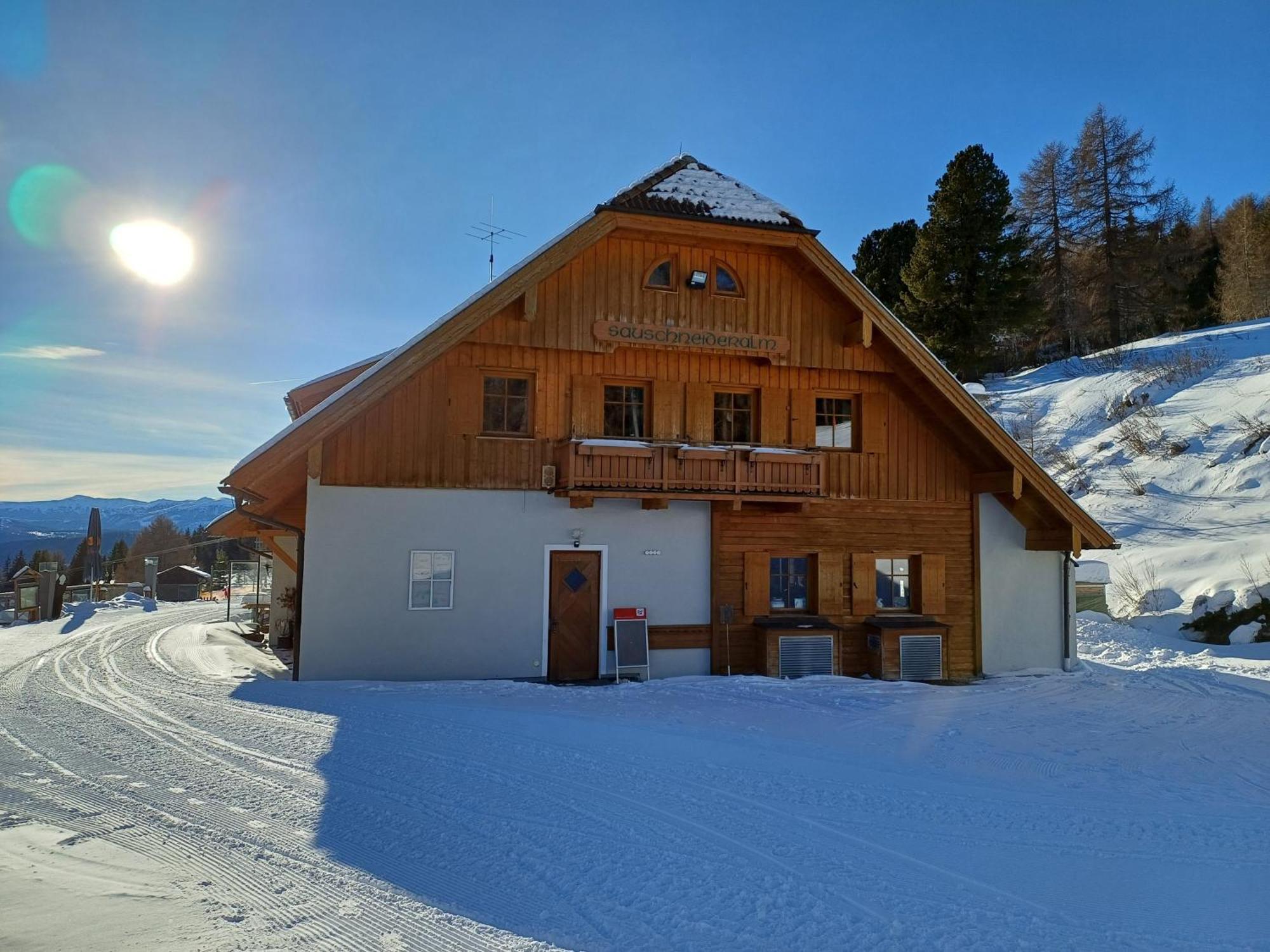 Hotel Sauschneideralm à Faningberg Extérieur photo