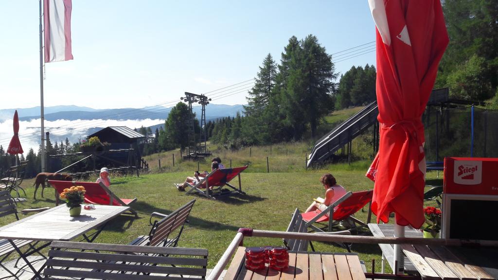 Hotel Sauschneideralm à Faningberg Extérieur photo